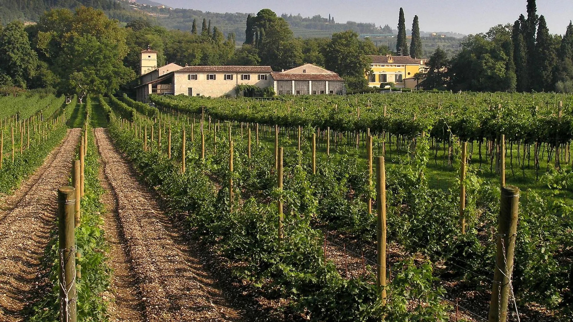 مزرعة للإقامة La Foresteria Serego Alighieri SantʼAmbrogio di Valpolicella إيطاليا
